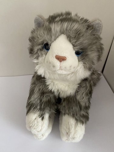Keel signature cuddle kittens - keel,