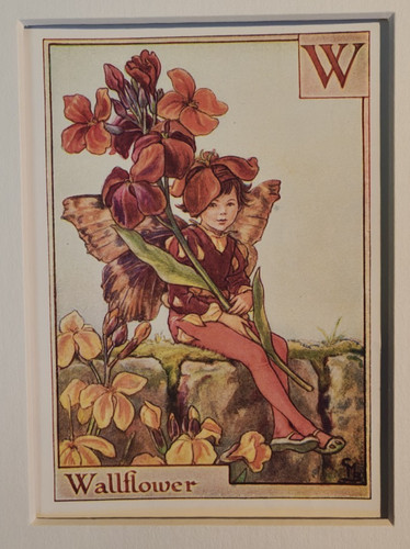Vintage flower fairies - vintage,