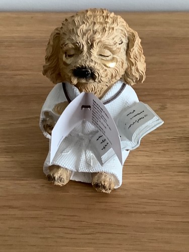 Next charlie the cockapoo - the,