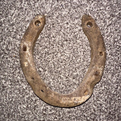 Vintage horse shoe good - shoe, ,