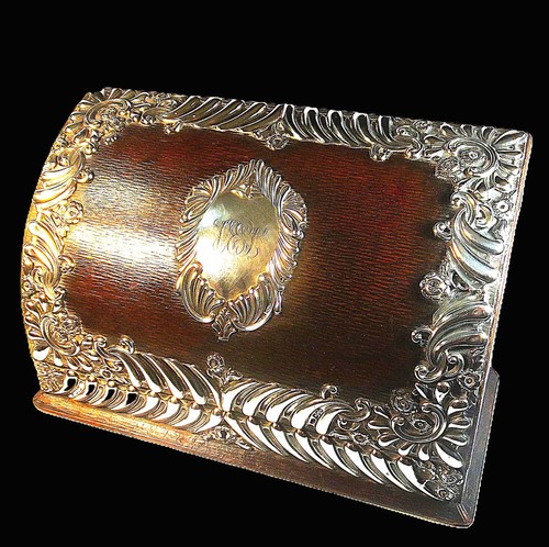 Superb silver mounted leather - silver,