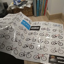 Raleigh Adult Kid Activ DBR