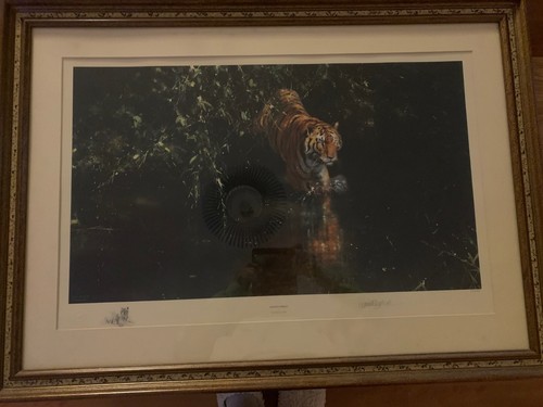 David shepherd limited edition - shepherd,