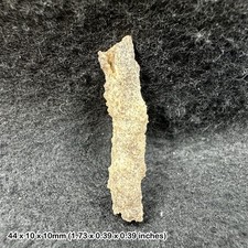 Fulgurite Mineral Specimen