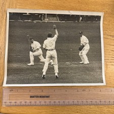 Real Photo Vintage Cricket at
