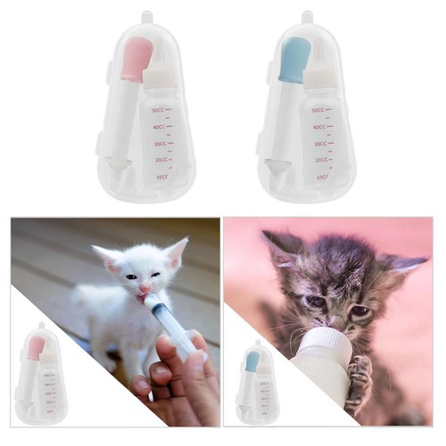 Kitten puppy feeding - puppy,