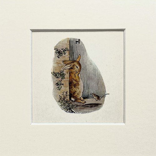 Beatrix potter peter rabbit - beatrix,