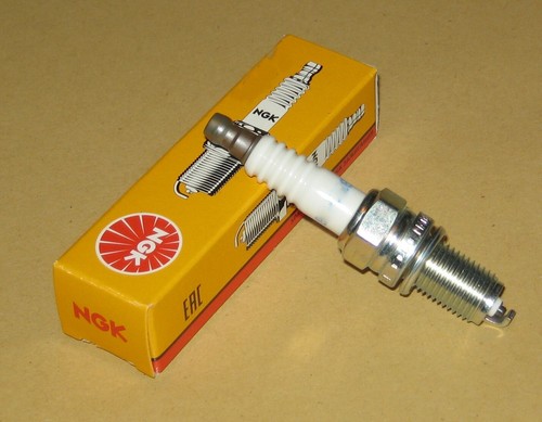 Ngk spark plug for piaggio - spark,