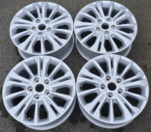 Oem volkswagen aracuja - 17",