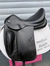 Amerigo Vergo Black Dressage