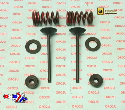 Psychic exhaust valve - exhaust, valve+spring