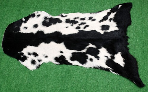 Genuine goat hide - hide, on