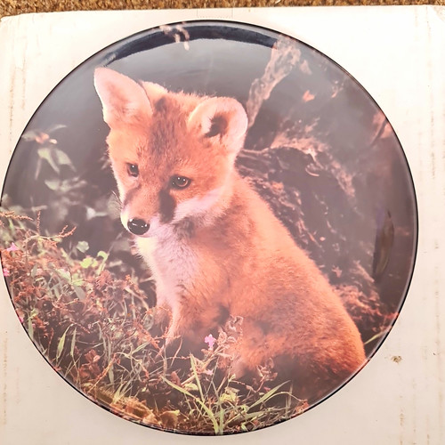 Royal doulton bone china - bone, fox