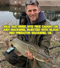 Pike Fishing Natural Bait Oils