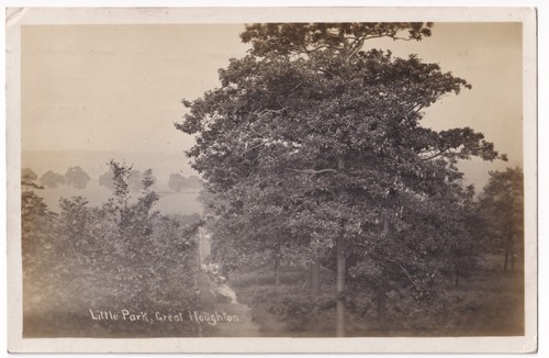 Little park great houghton - great,