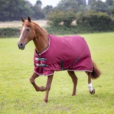 Shires Tempest Original 200 Turnout Rug - Maroon | Equestrian Horsewear
