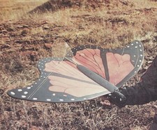 Monarch butterly slope soarer - monarch,