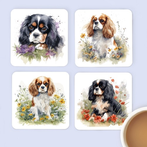 Cavalier king charles spaniel - charles,
