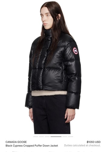 Canada goose cypress cropped - goose,