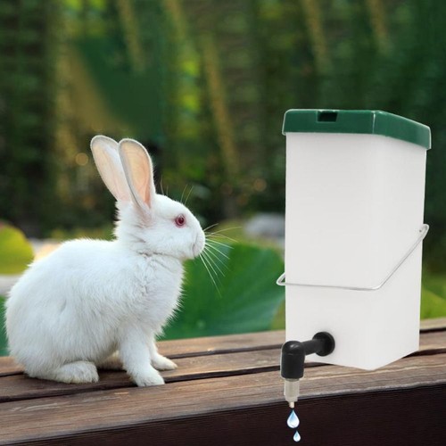 Auto rabbit water dispenser - auto,