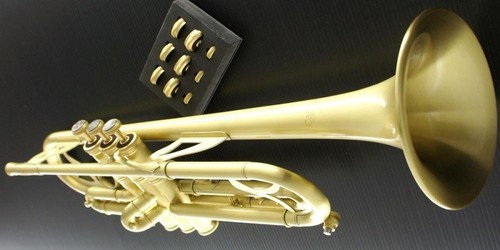 Carolbrass satin lacquer - carolbrass,
