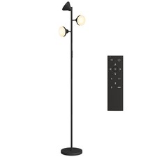 HOMCOM RGB Floor Lamp with 3