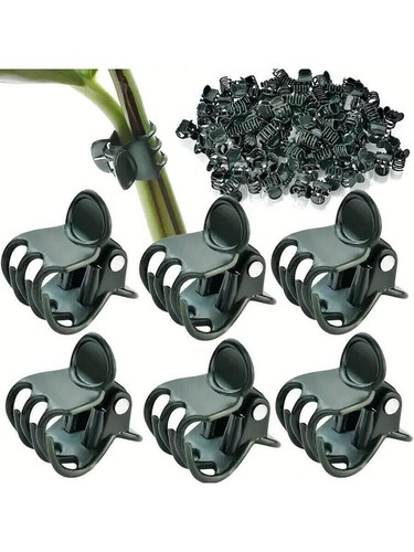 Orchid plant support clips - orchid,