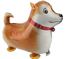 Collie Balloon Dog Walking Pet