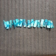 Drilled abalone shell pieces - abalone,