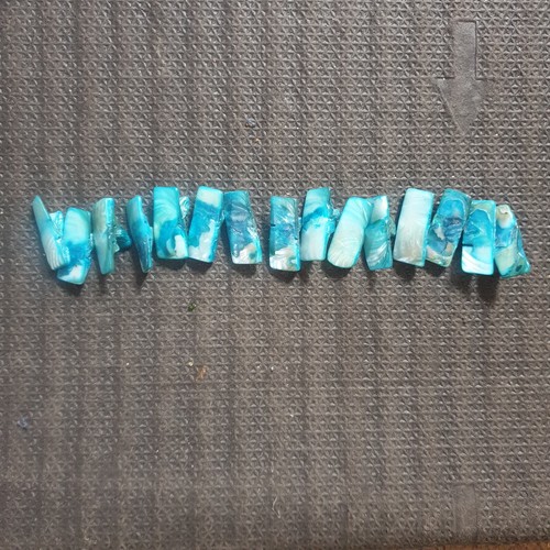 Drilled abalone shell pieces - shell,