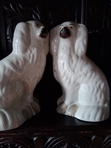 Antique pair staffordshire dog - antique,