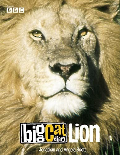Big cat diary - cat, lion