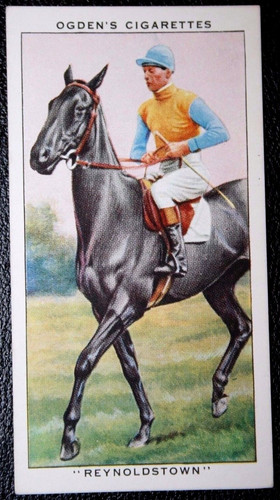 Grand national winner - grand,