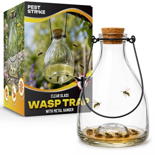 Glass wasp catcher pack - glass,