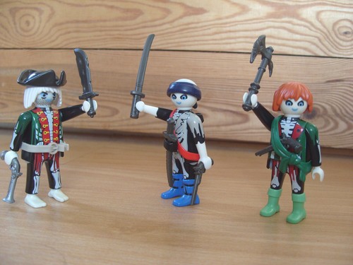 Playmobil 100 complete set - complete,