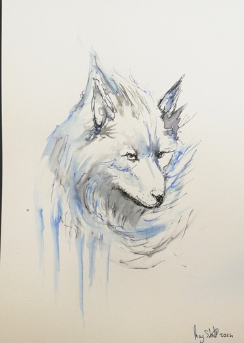 Original fox ink - ink, sketch