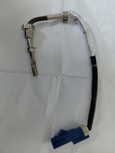 Exhaust gas temperature - gas, sensor