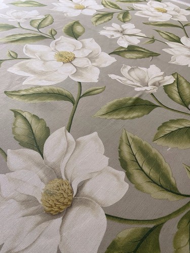 Sanderson grandiflora magnolia - grandiflora,