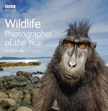 Wildlife Photographer of the