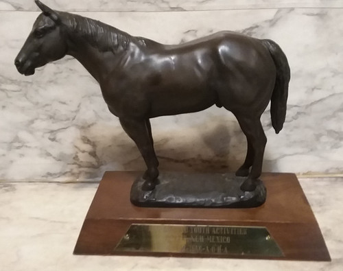 1966 bronze horse - 1966, statue,