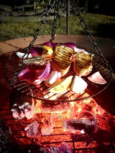 Open fire cooking - cooking, arm