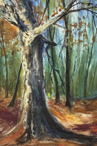 Trees dance the forest - trees, in