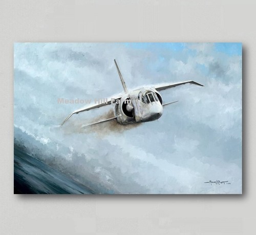Fridge magnet bac tsr plane - magnet,