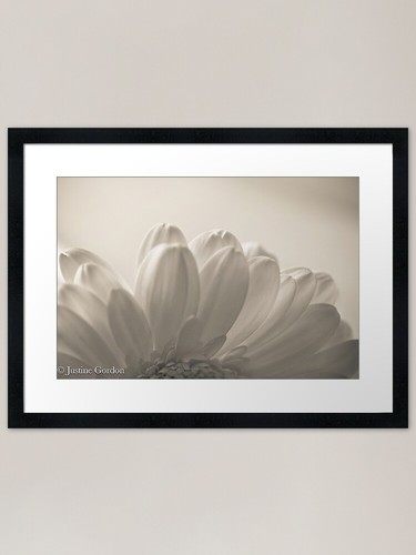 Gerbera framed art - gerbera,