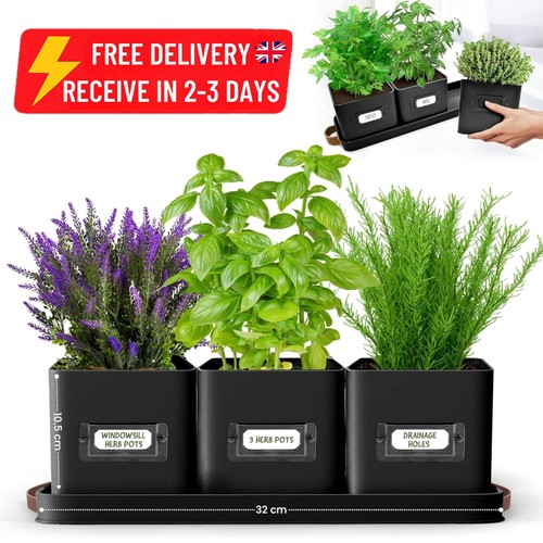 Set herb planter pots - herb,
