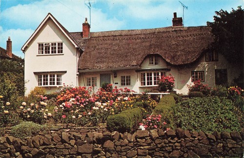 Marigold cottage newtown - marigold,