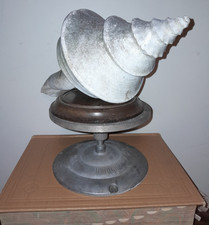 Large Vintage Spiral Seashell