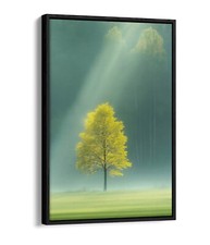 LONELY GREEN TREE IN FIELD UNDER SUN FLOAT EFFECT FRAME CANVAS ART PIC PRINT