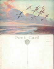 Geese flying over the sea at