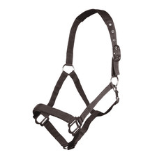 HKM Horse Sydney Style Head